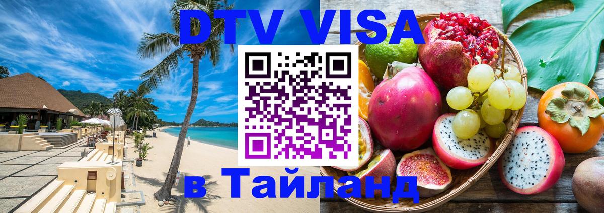 Оформление DTV визы под ключ: стоимость и тарифы, только загранпаспорт - Рубцовск 